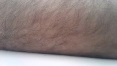 wolf_free  27-02-2023